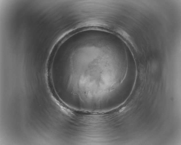 X0000069361024200605121111