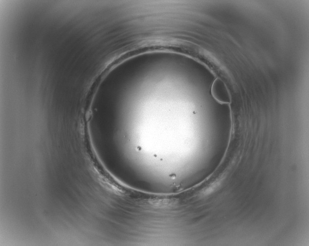 X0000069361025200605121111