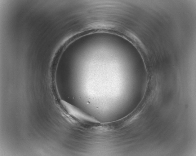 X0000069361027200605121111