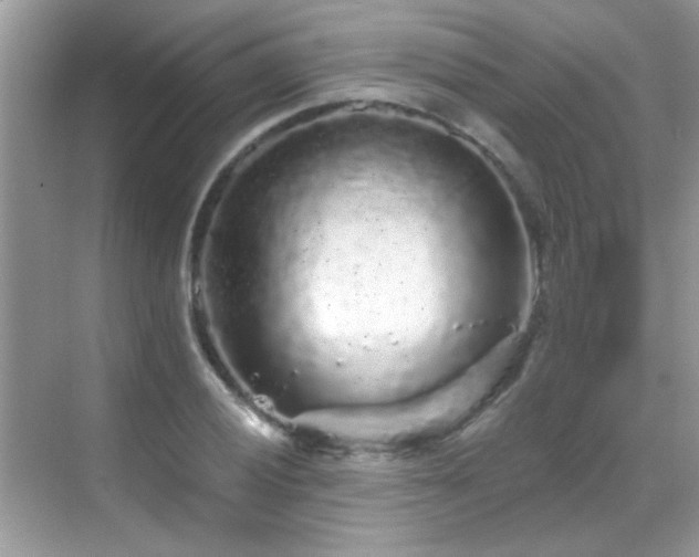 X0000069361028200605121111