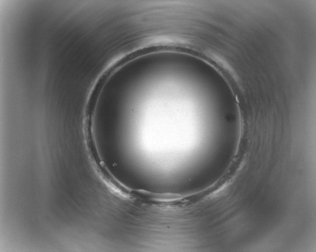 X0000069361029200605121111