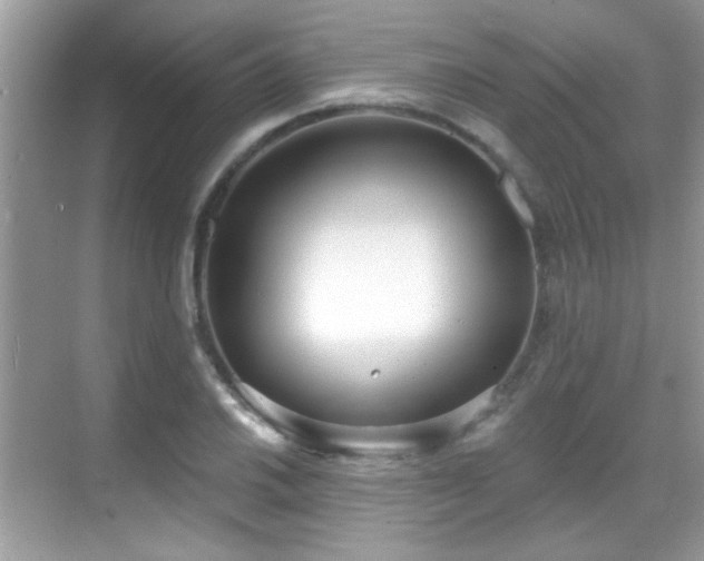 X0000069361030200605121111