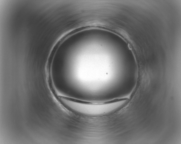 X0000069361032200605121111