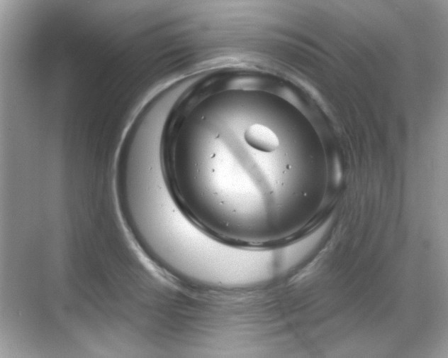 X0000069361034200605121111