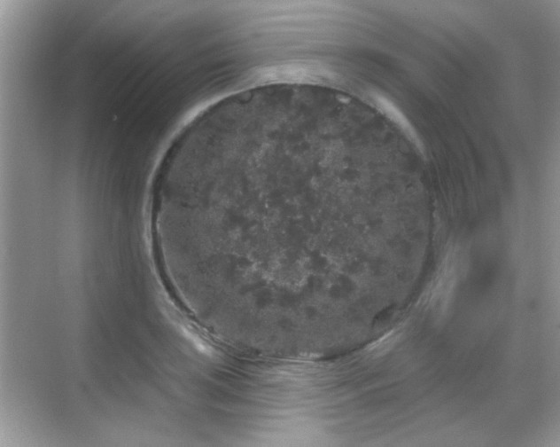 X0000069361035200605121111