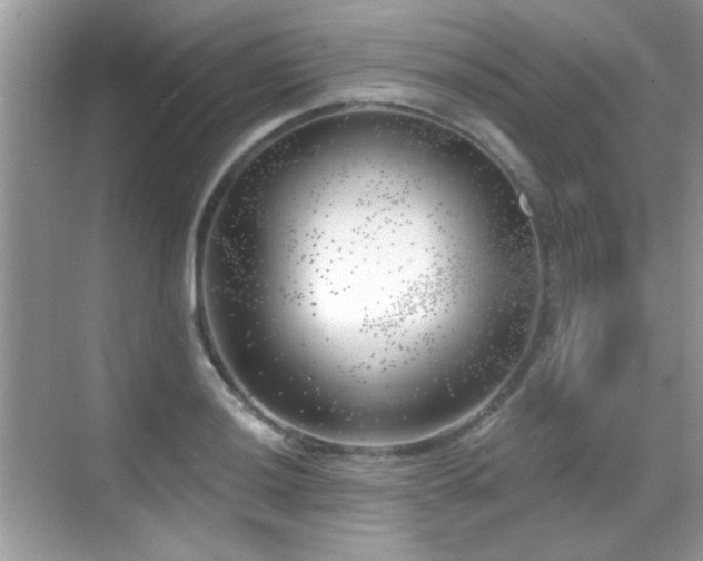 X0000069361036200605121111