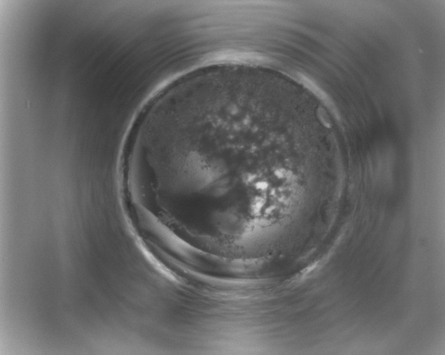 X0000069361037200605121111