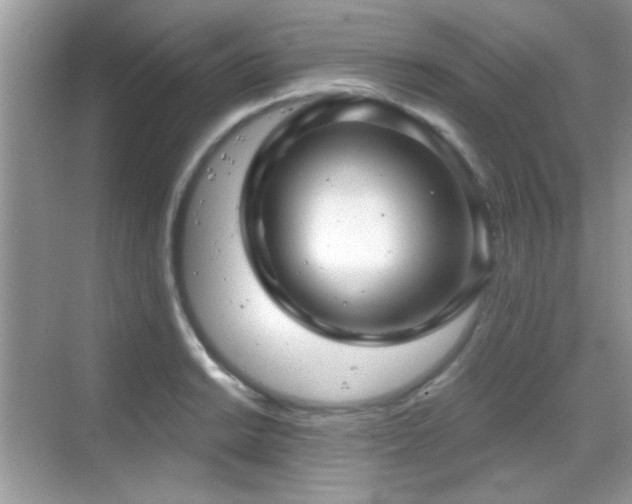 X0000069361038200605121111