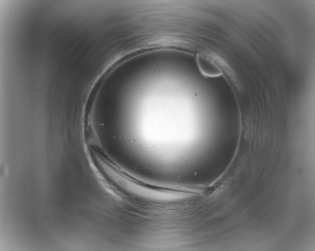 X0000069361039200605121111