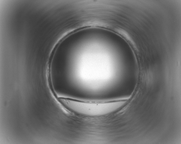 X0000069361040200605121111