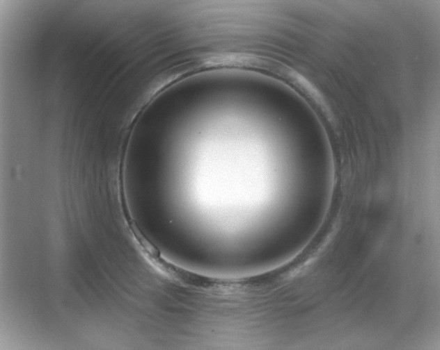 X0000069361041200605121111