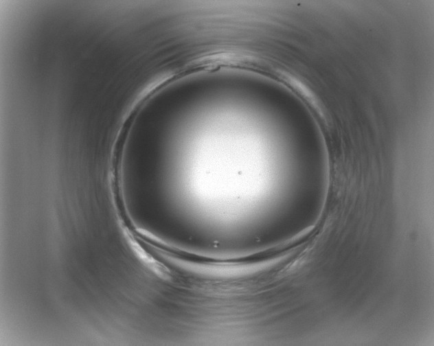 X0000069361042200605121111