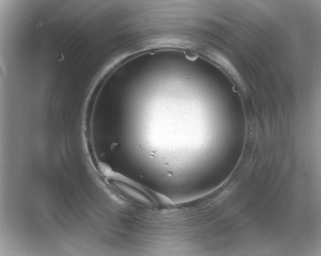 X0000069361043200605121111