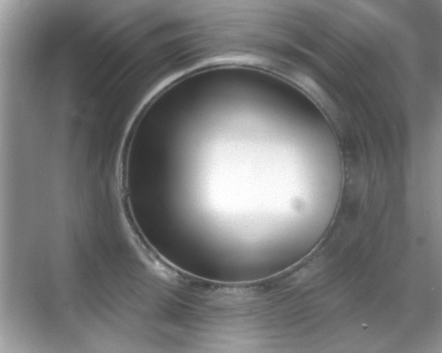 X0000069361044200605121111