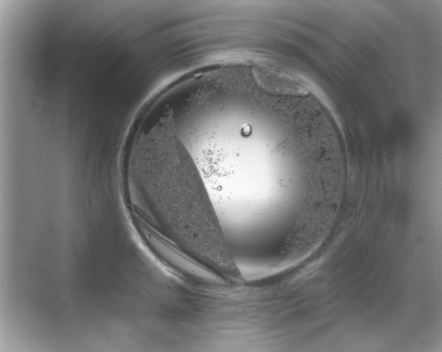 X0000069361045200605121111