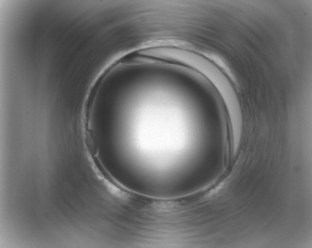 X0000069361046200605121111