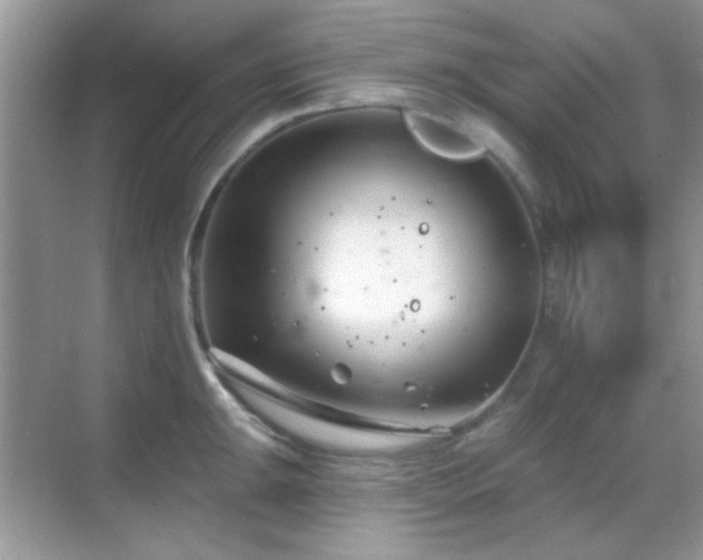 X0000069361047200605121111