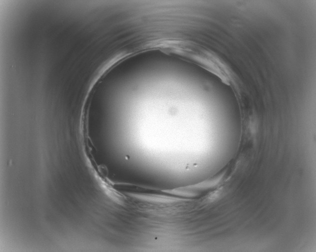 X0000069361050200605121111