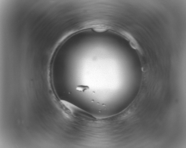 X0000069361051200605121111