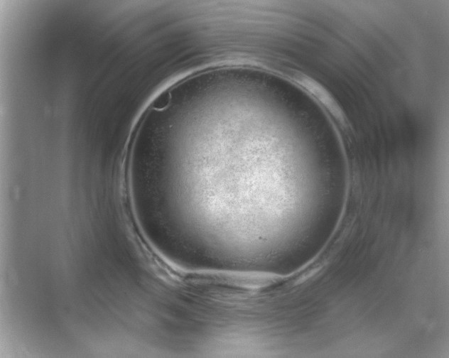 X0000069361052200605121111