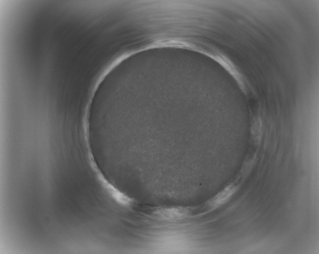 X0000069361054200605121111