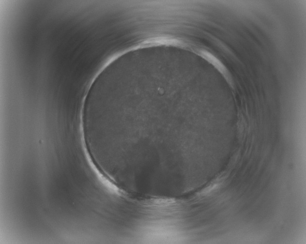 X0000069361055200605121112