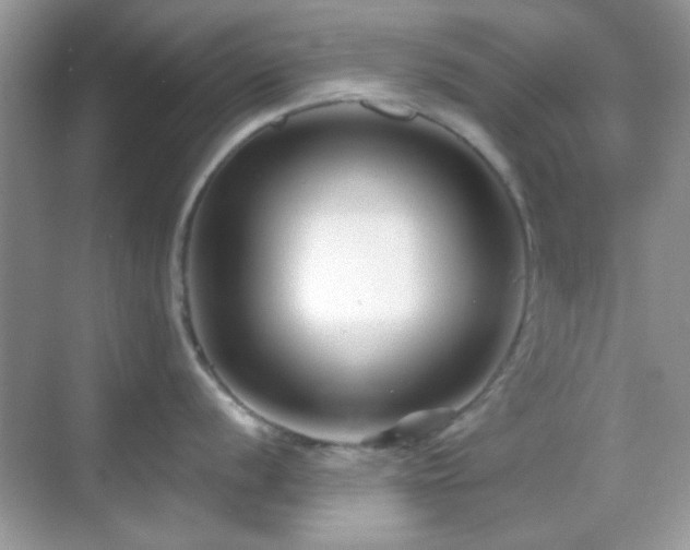 X0000069361056200605121112