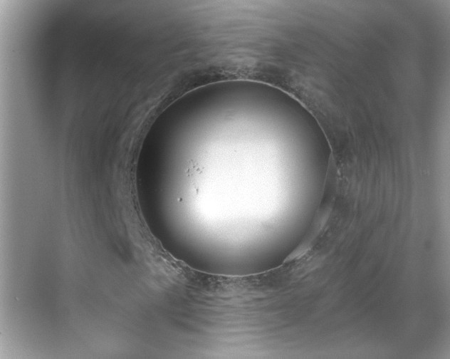 X0000069361057200605121111