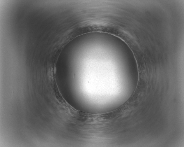 X0000069361061200605121111