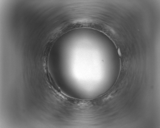 X0000069361062200605121111