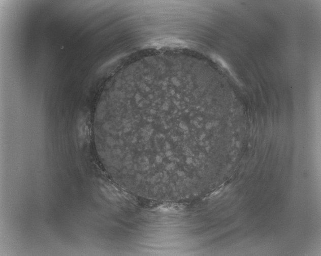 X0000069361063200605121111