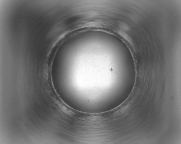 X0000069361067200605121111