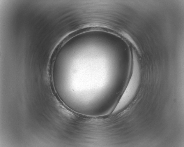 X0000069361068200605121111