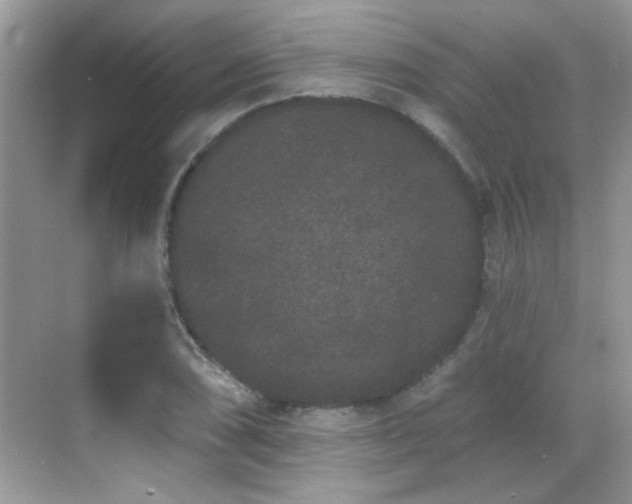 X0000069361074200605121110