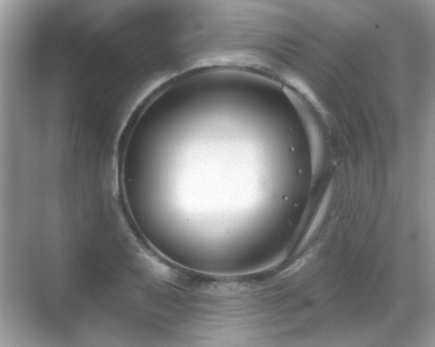 X0000069361079200605121110