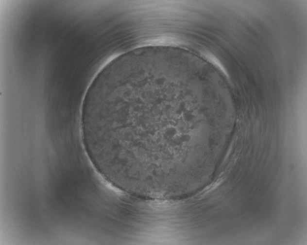 X0000069361087200605121110