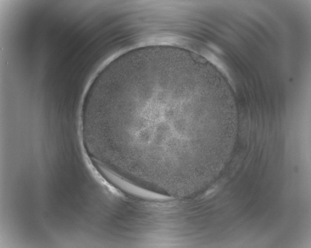 X0000069361088200605121110