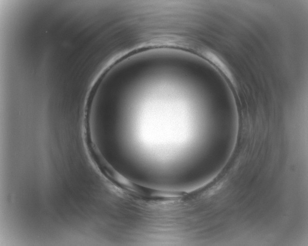 X0000069361093200605121110