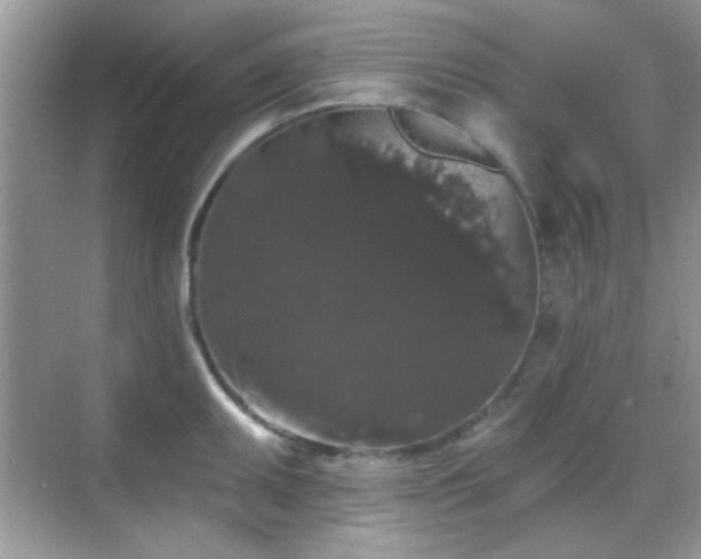 X0000069361095200605121110