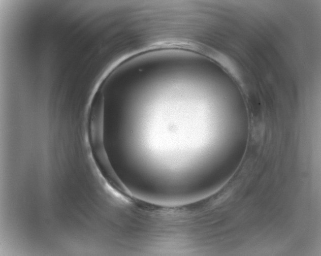 X0000069361102200605121110