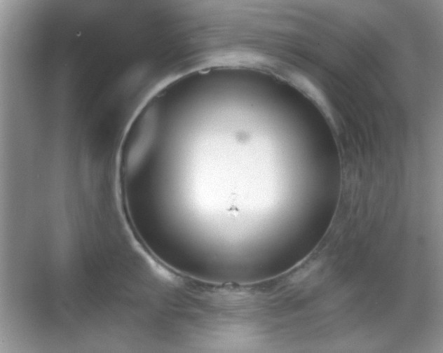 X0000069361103200605121110