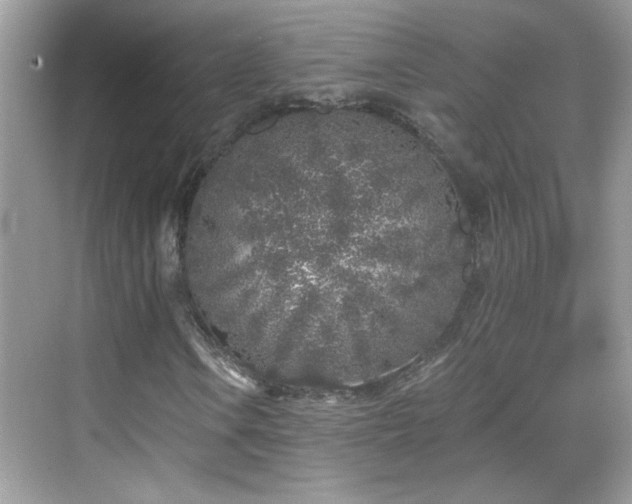 X0000069361106200605121109