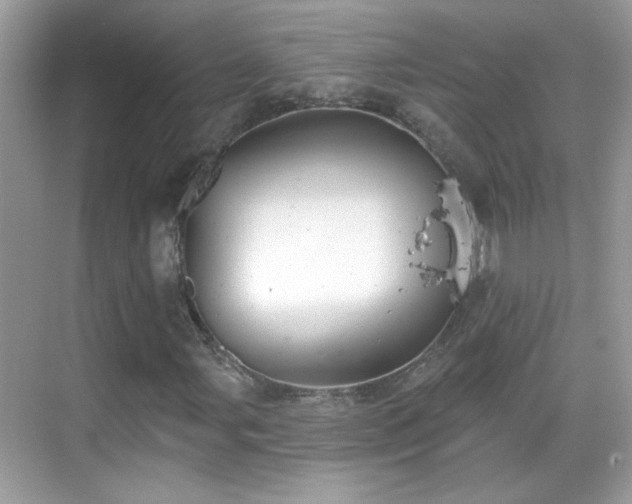X0000069361107200605121109