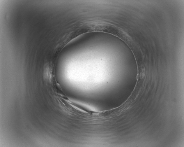 X0000069361108200605121109