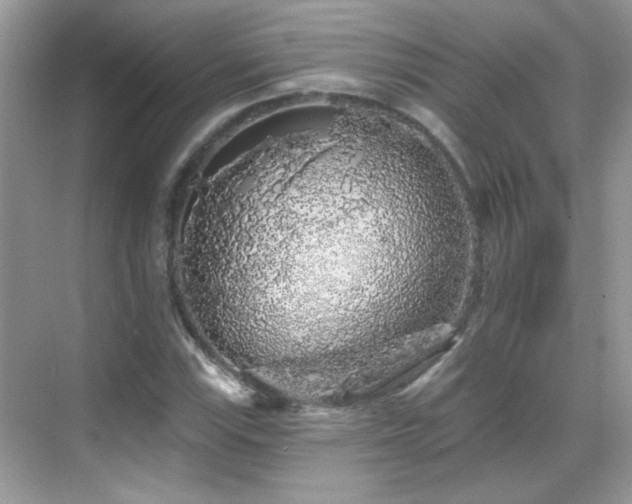 X0000069361115200605121109