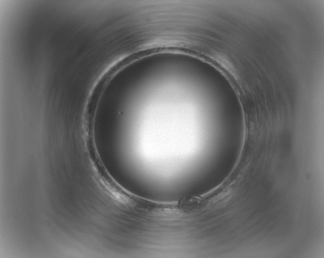 X0000069361119200605121109