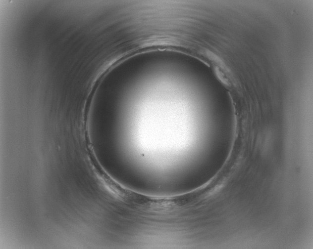 X0000069361129200605121110