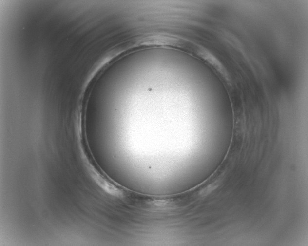 X0000069361130200605121110