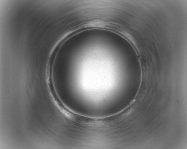 X0000069361131200605121110