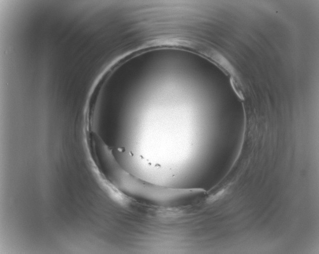 X0000069361132200605121110